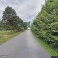 Road closed due to tree on power lines