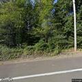 Tree blocking Old Cannon Beach Road