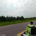 Driver reports car deer crash on M-94 near Chatham