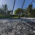 Fire alarm at Manini Beach Road property