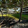 Person with allergic reaction at Royal Kona Resort lobby