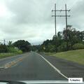 Reckless gray Ford Focus driving toward Hilo