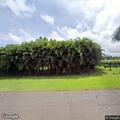 Person trapped on lanai by fallen tree