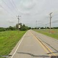 Loose cow creating road hazard on FM 205