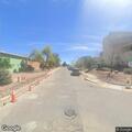 Roaming dogs reported near Iris and 9th