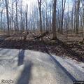Tree cleared from Lower Clear Creek Road