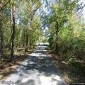 Controlled burn reported on Collins Road