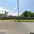 Loose dog reported on Dickens Avenue