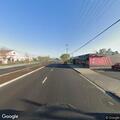 Loose dogs running in roadway on Lander Avenue
