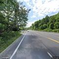 Tree blocks Memorial Highway in Shavertown