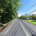 Tree branches blocking lane on Tracy Drive