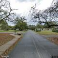 Tree limb on power line near high school