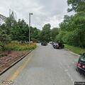 Loose dog in traffic near Mill Mountain Spur