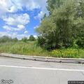 Silage spilled on roadway along Route 19