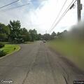 Raccoon in roadway creates traffic hazard