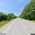 Deer blocking roadway on China Road in Albion
