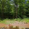 Dog reported chasing people on forest trails