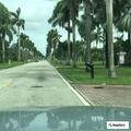 Police respond to loud party on SW 1st Street