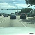 Car hits palm tree near Northwest 32nd and Gratigny