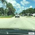 Traffic stop on white Honda with unregistered tag