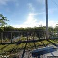 Person reported sick near Airboat Rides on Tamiami Trail