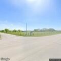 Loose cow creating hazard on County Road 256
