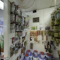 Repeated intrusion alarm reported at business