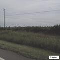 Traffic stop on State Road 31 in Punta Gorda
