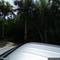 Propane odor reported at Orchid Point residence