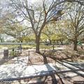 People throwing trash at Woodrow Park