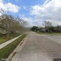 Loose dogs reported at Bay Breezes and Arbor Drive