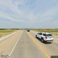 Cows on highway shoulder near Perham