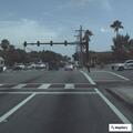 Traffic stop on red Lexus blocking intersection