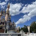 Woman having seizures at Magic Kingdom boat docks