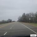 Vehicle hits tree on US 181 near Normanna