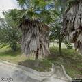 Erratic transport requested near Signature Drive in Orange City