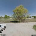 Loose dog reported at Westside and Oriole Lane