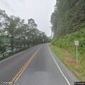 Tree partially blocking lane on Route 45