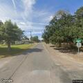 Tree blocking view at Groves intersection