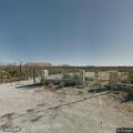 Loose calf near roadway south of Del Rio