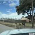 Vehicle stop ends with one person arrested