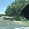Single car crash into brush on Misty Water Lane