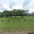 Loose cows reported near Bryant Road
