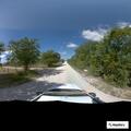 Illegal dumping of large pile of tires on Long Road