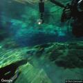 Mutual aid EMS requested for snake bite at Ginnie Springs
