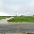 Loose goats creating road hazard on FM 109