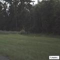 Smoke in woods near US 441 found to be campfire