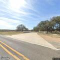 Cow blocking roadway near Ranch Road 2045