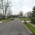 Loose dog reported near Red Oak Lane
