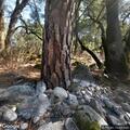 Automated crash alert in Whiskeytown National Park